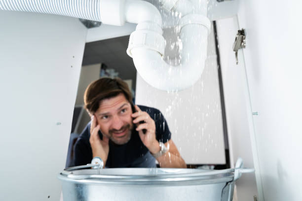 Best Plumbing Inspection Services  in Pell City, AL